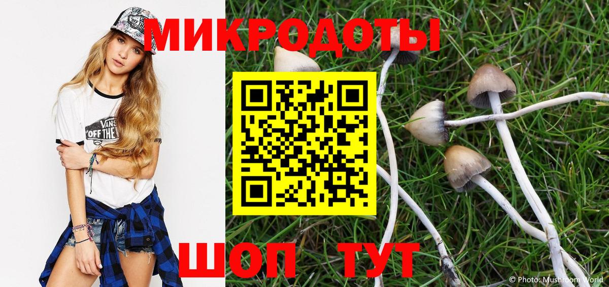 Псилоцибиновые грибы Cubensis  Псилоцибиновые грибы Magic Shrooms  Камень-на-Оби  Вход с VPN 